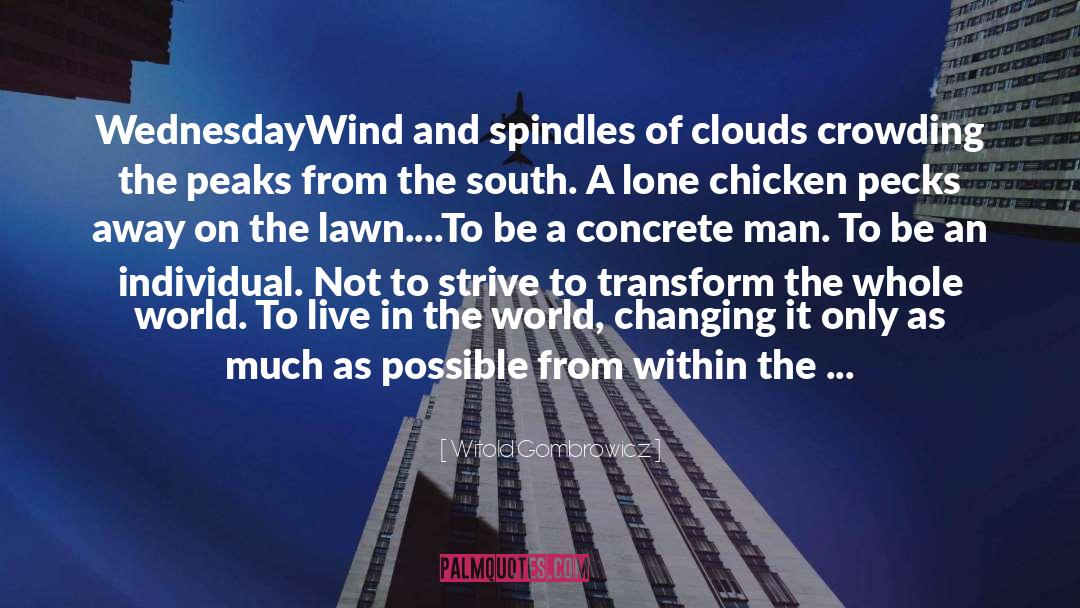 The Wednesday Wars quotes by Witold Gombrowicz