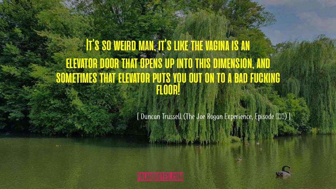 The Weird Girls quotes by Duncan Trussell (The Joe Rogan Experience, Episode 179)