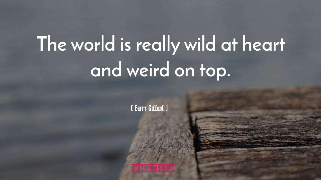 The Weird Girls quotes by Barry Gifford