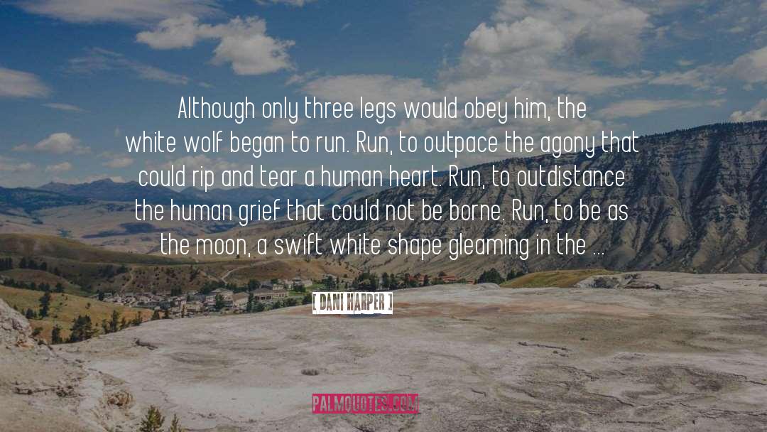 The White Wolf quotes by Dani Harper