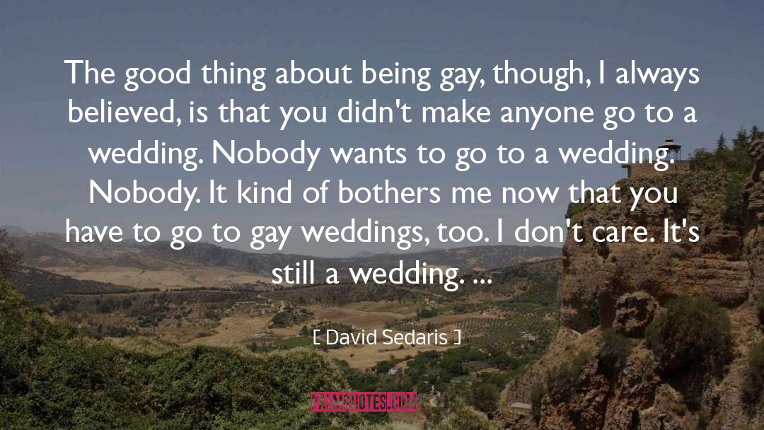 The Whitsun Weddings quotes by David Sedaris