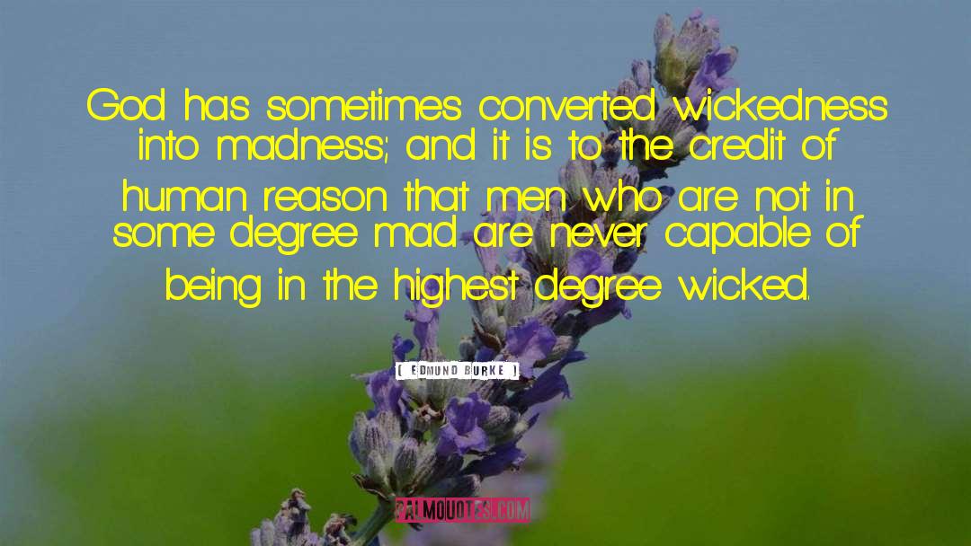 The Wicked Witch quotes by Edmund Burke
