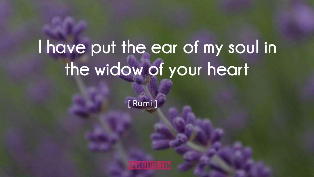 The Widow quotes by Rumi