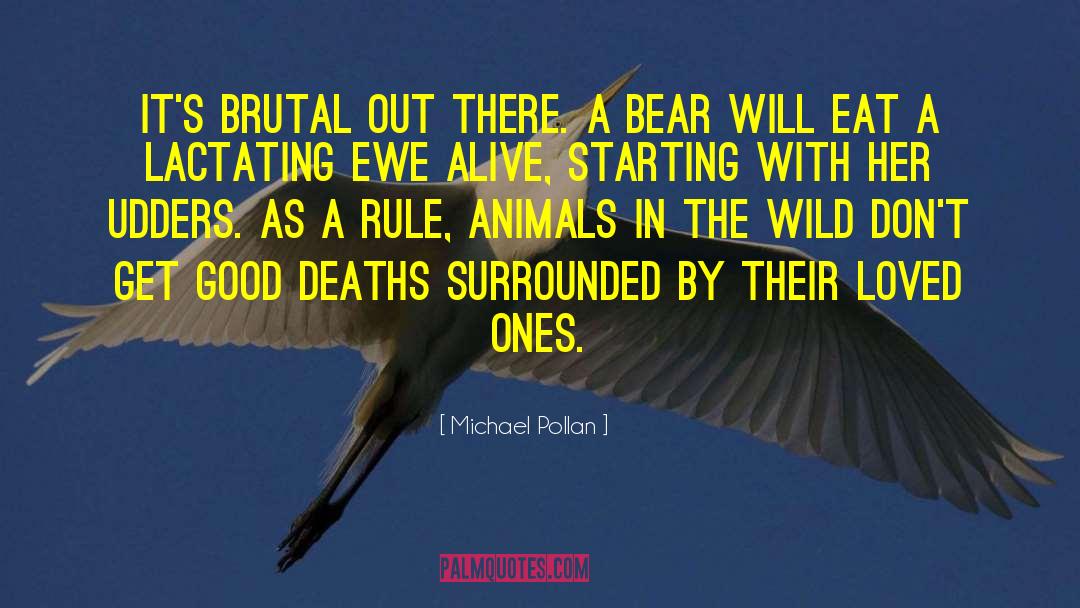 The Wild Nature quotes by Michael Pollan