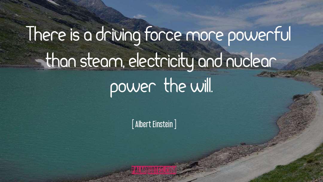 The Will quotes by Albert Einstein