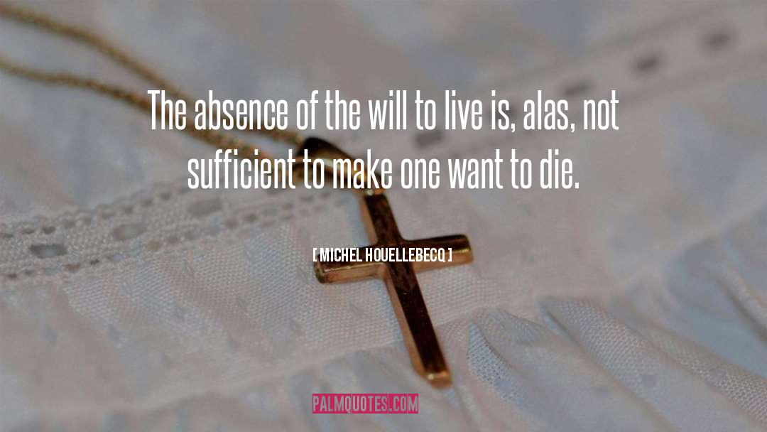 The Will To Live quotes by Michel Houellebecq
