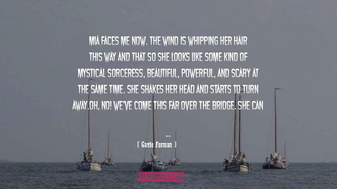 The Wind quotes by Gayle Forman