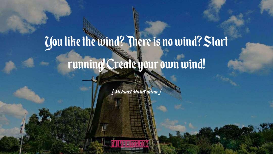 The Wind quotes by Mehmet Murat Ildan