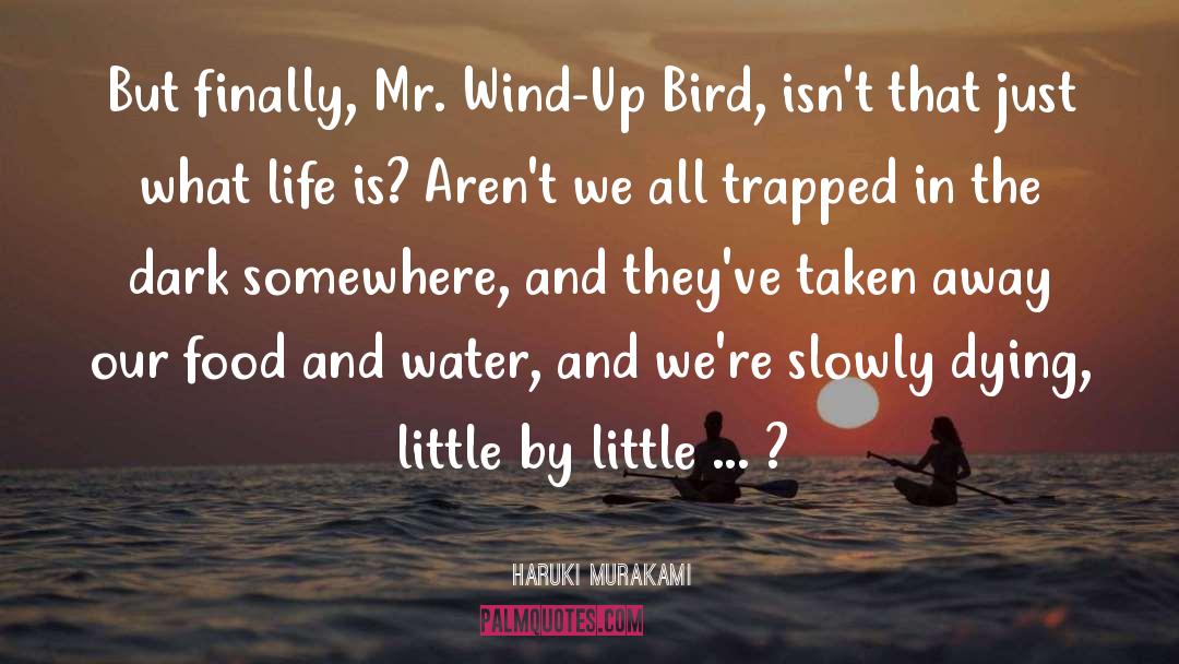 The Wind Up Bird Chronicle quotes by Haruki Murakami