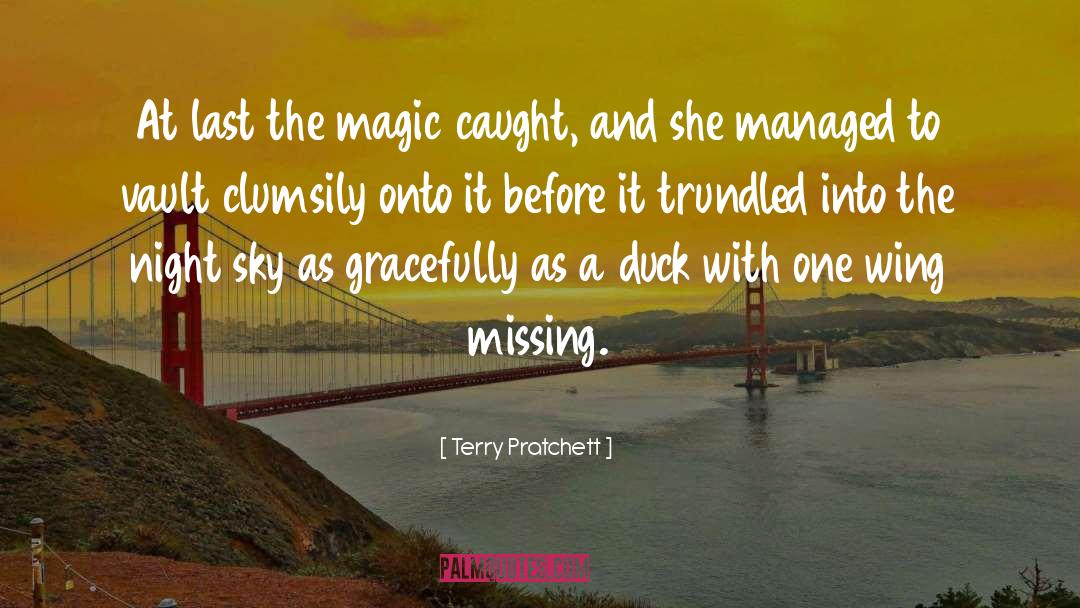 The Wing Warrior quotes by Terry Pratchett