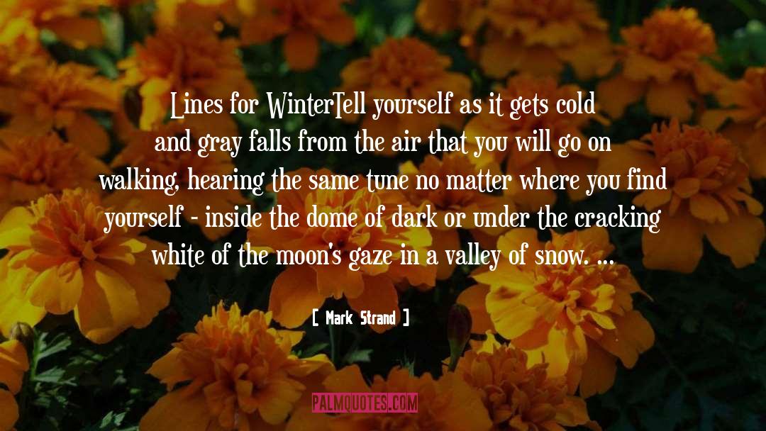 The Winter Rose quotes by Mark Strand