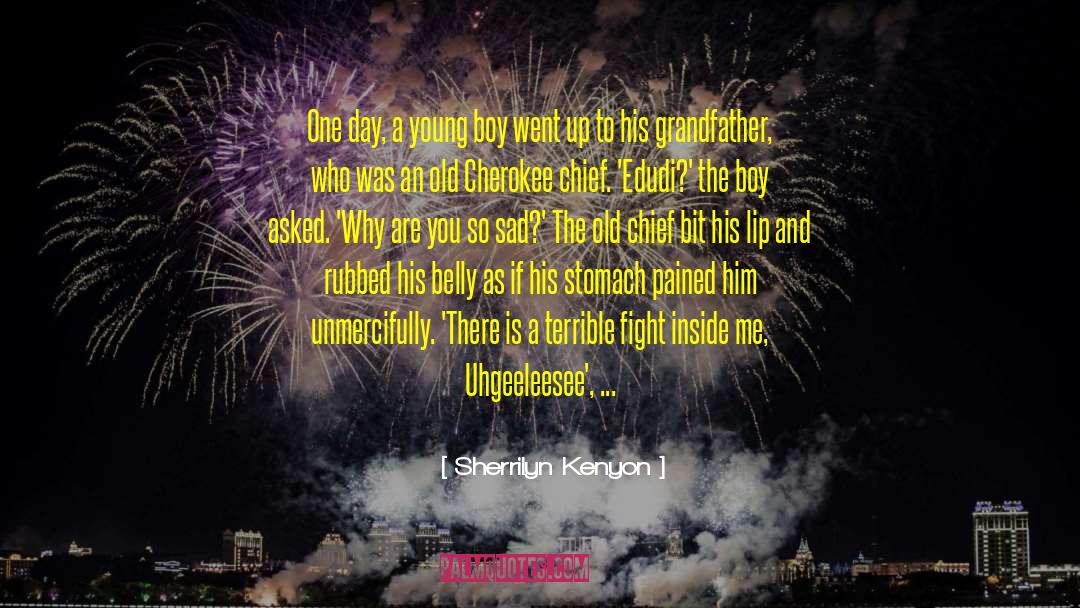 The Wisdom Of False Shamans quotes by Sherrilyn Kenyon