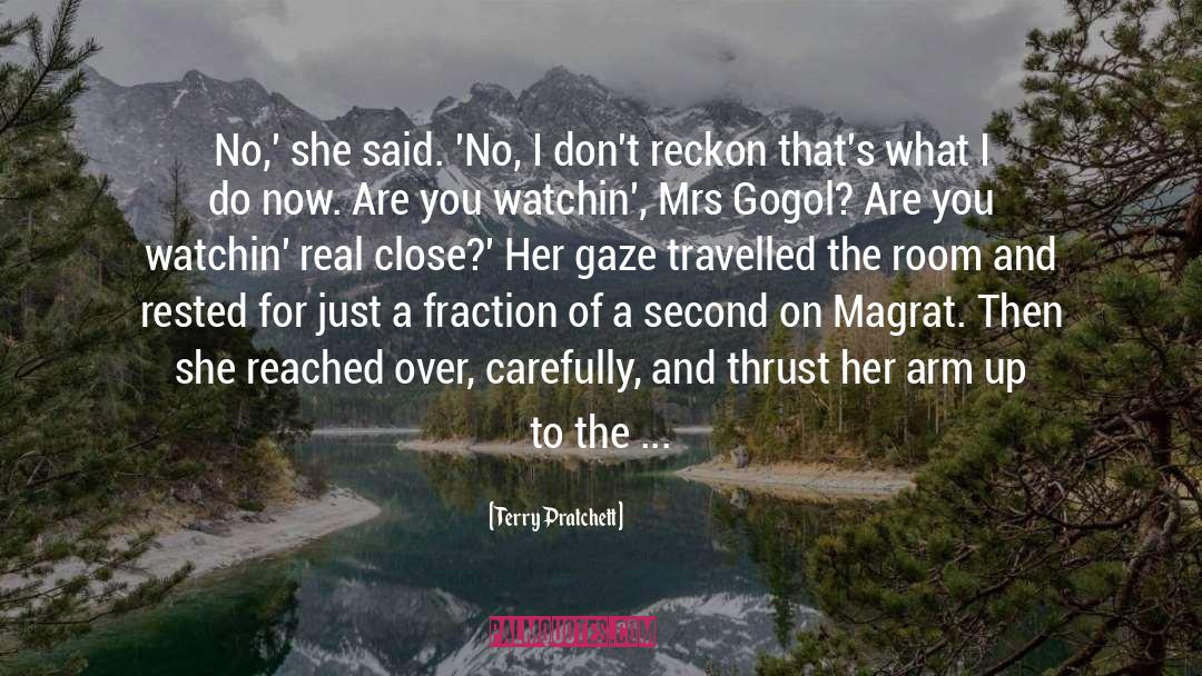 The Witch Of Portobello quotes by Terry Pratchett