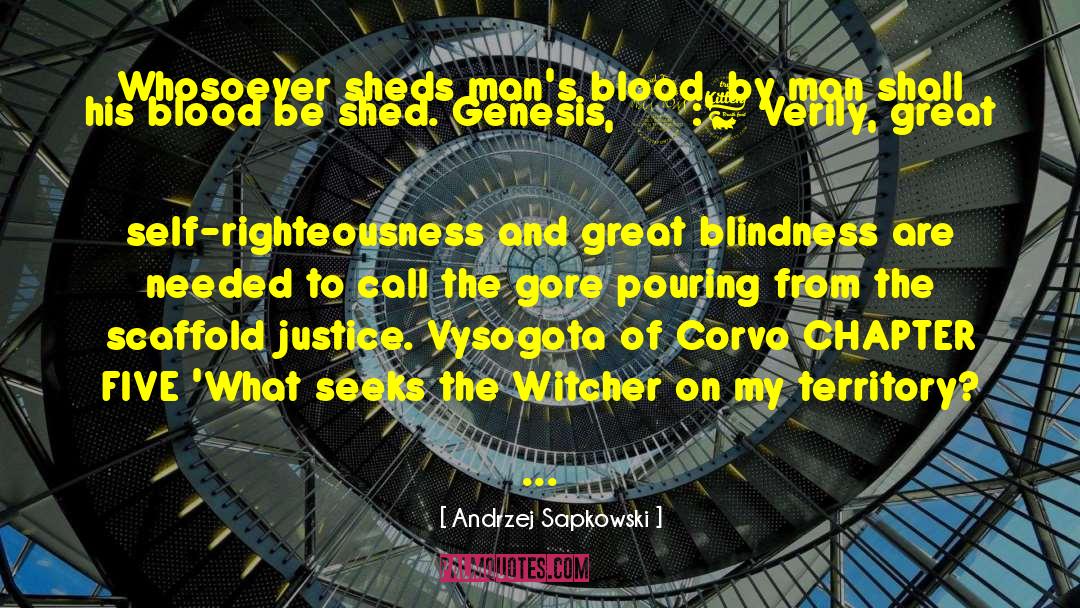 The Witcher quotes by Andrzej Sapkowski