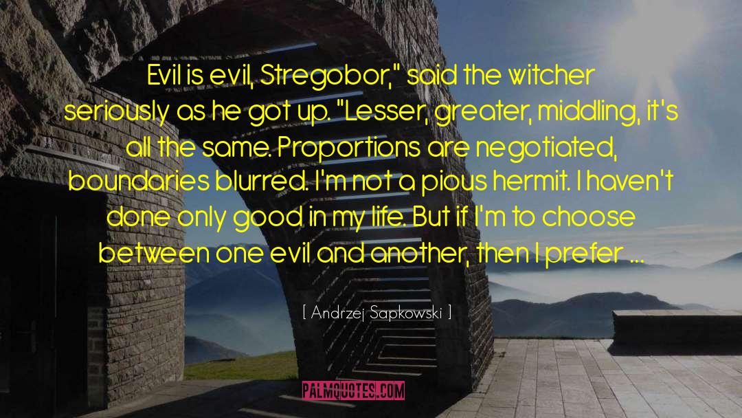 The Witcher quotes by Andrzej Sapkowski