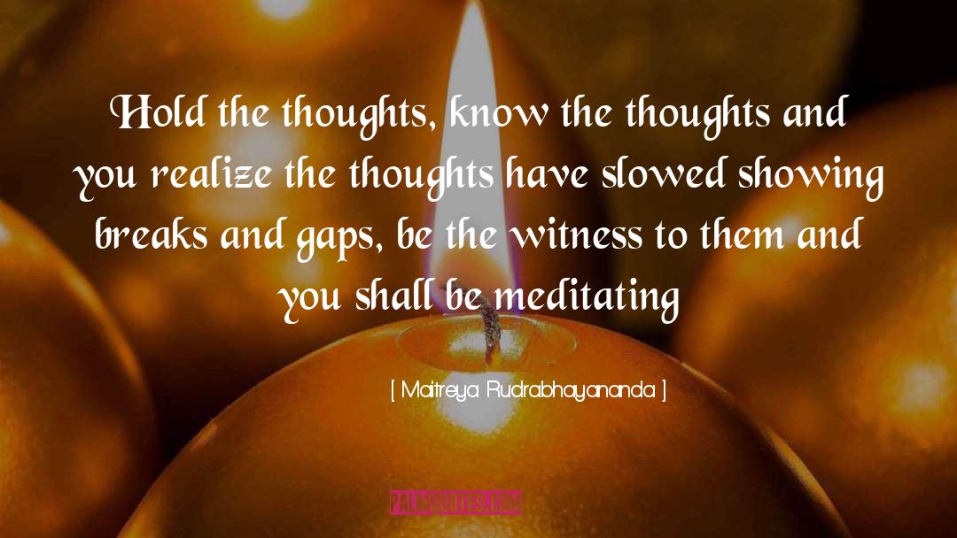 The Witness quotes by Maitreya Rudrabhayananda