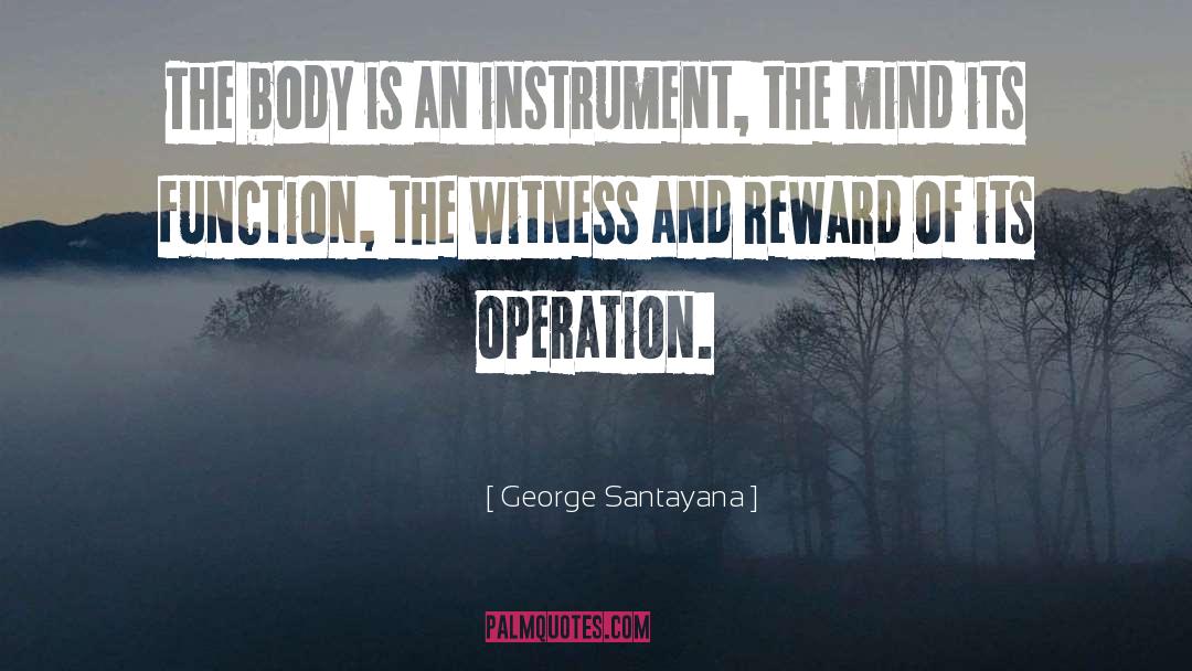 The Witness quotes by George Santayana