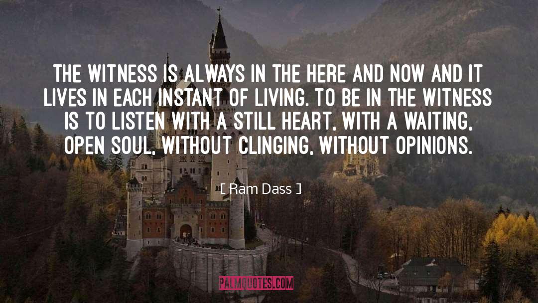 The Witness quotes by Ram Dass