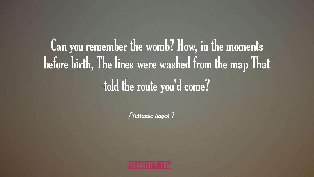 The Womb quotes by Terrance Hayes