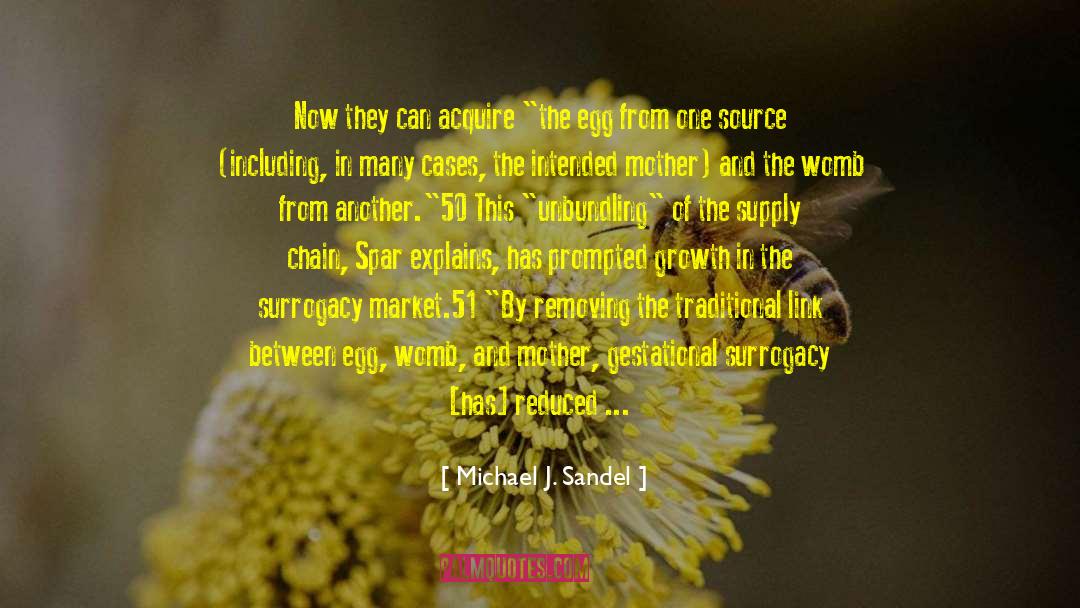 The Womb quotes by Michael J. Sandel