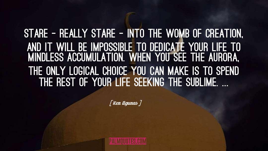 The Womb quotes by Ken Ilgunas