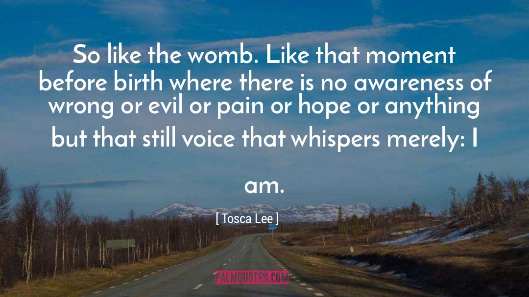 The Womb quotes by Tosca Lee