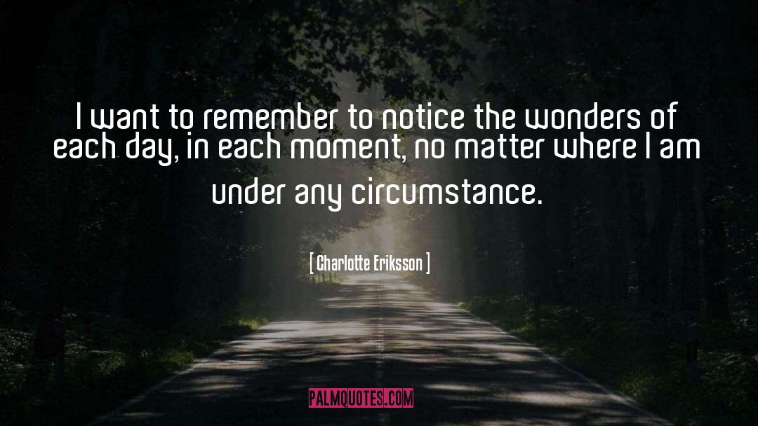 The Wonders quotes by Charlotte Eriksson