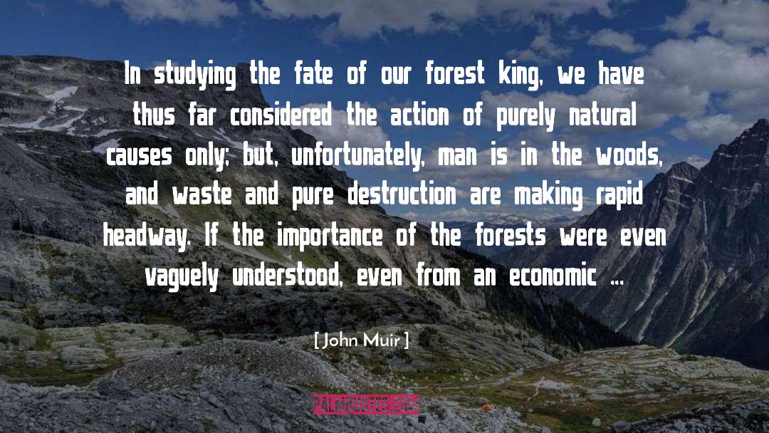 The Woods quotes by John Muir