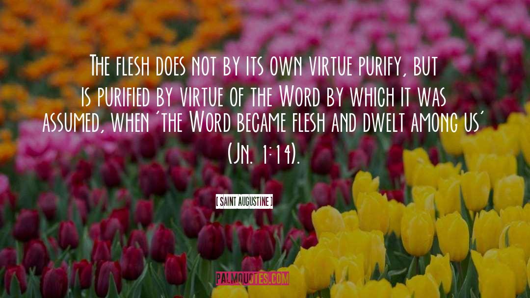 The Word Became Flesh quotes by Saint Augustine