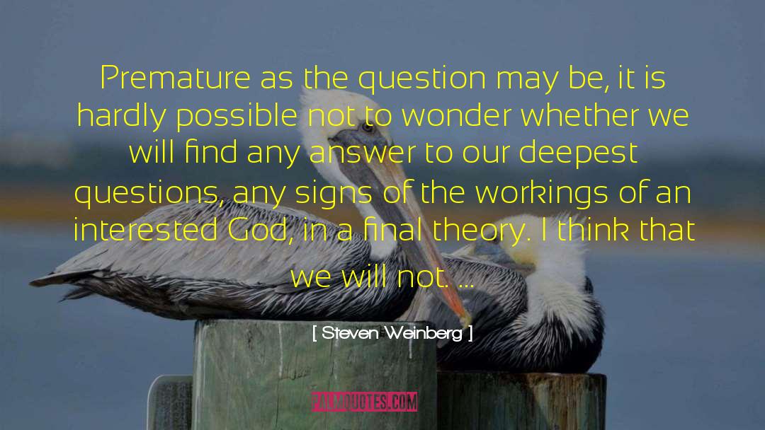 The Workings Of The World quotes by Steven Weinberg