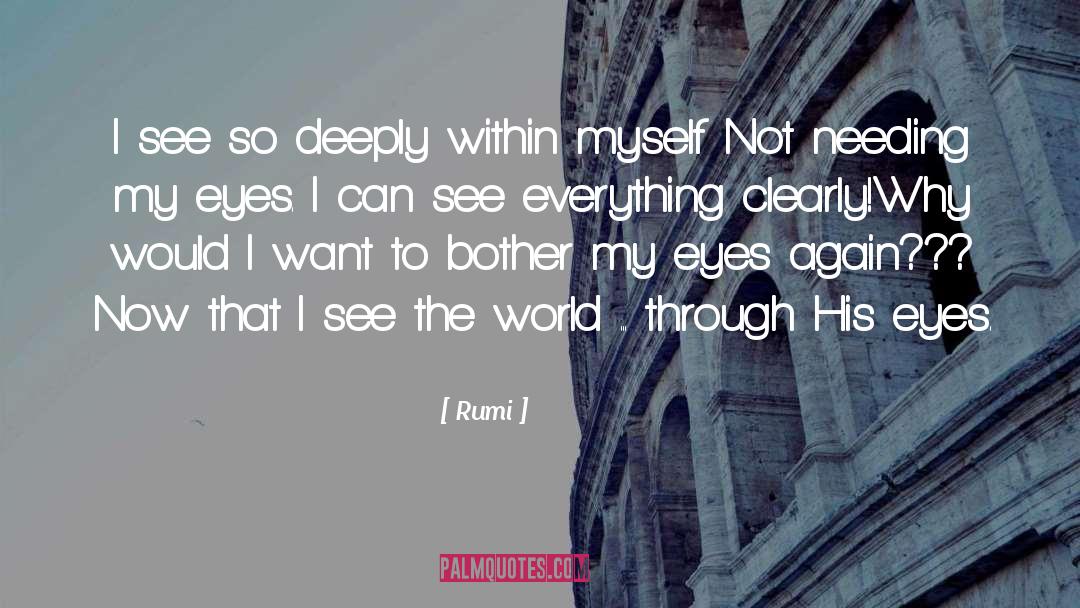 The World Through My Eyes quotes by Rumi