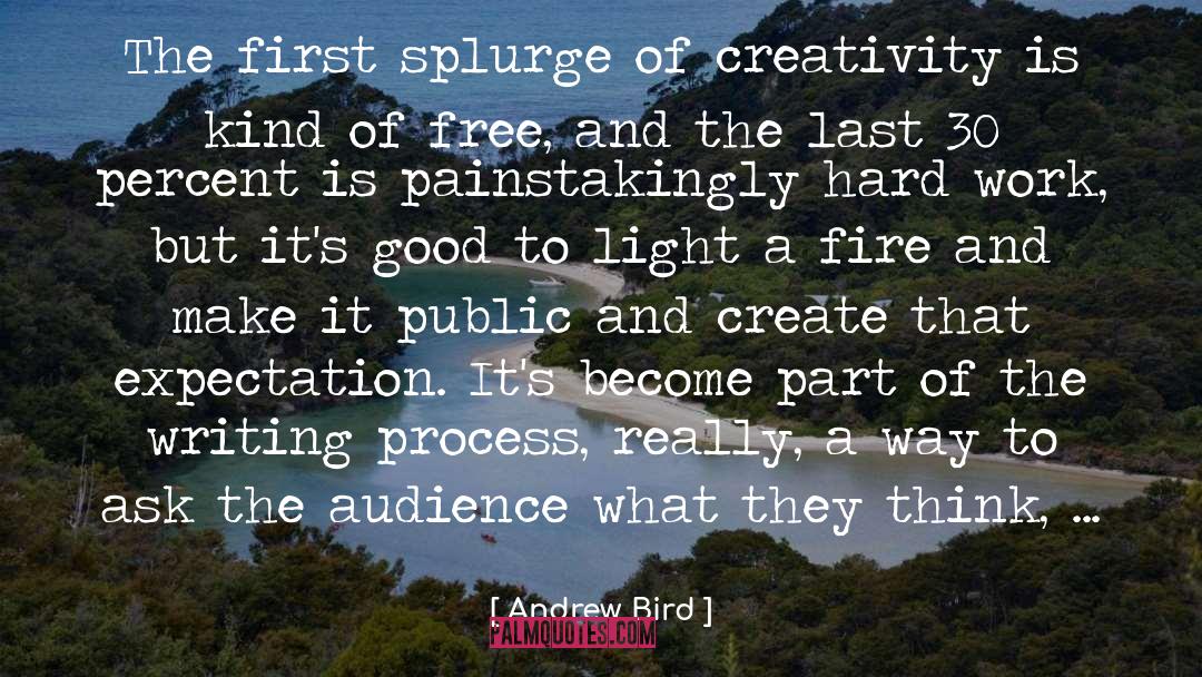 The Writing Process quotes by Andrew Bird