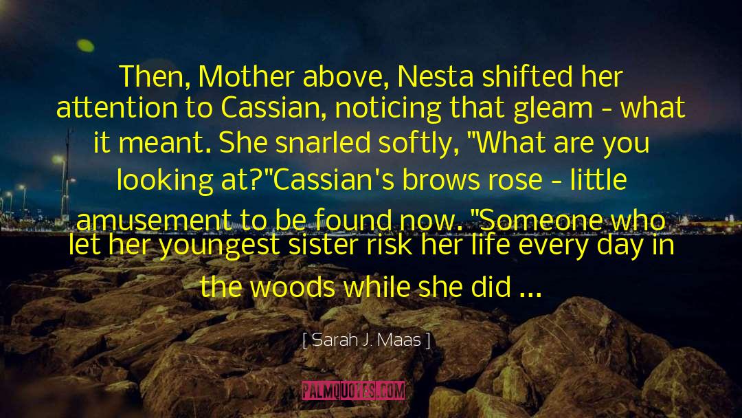 The Year My Mother Died A Memoir quotes by Sarah J. Maas