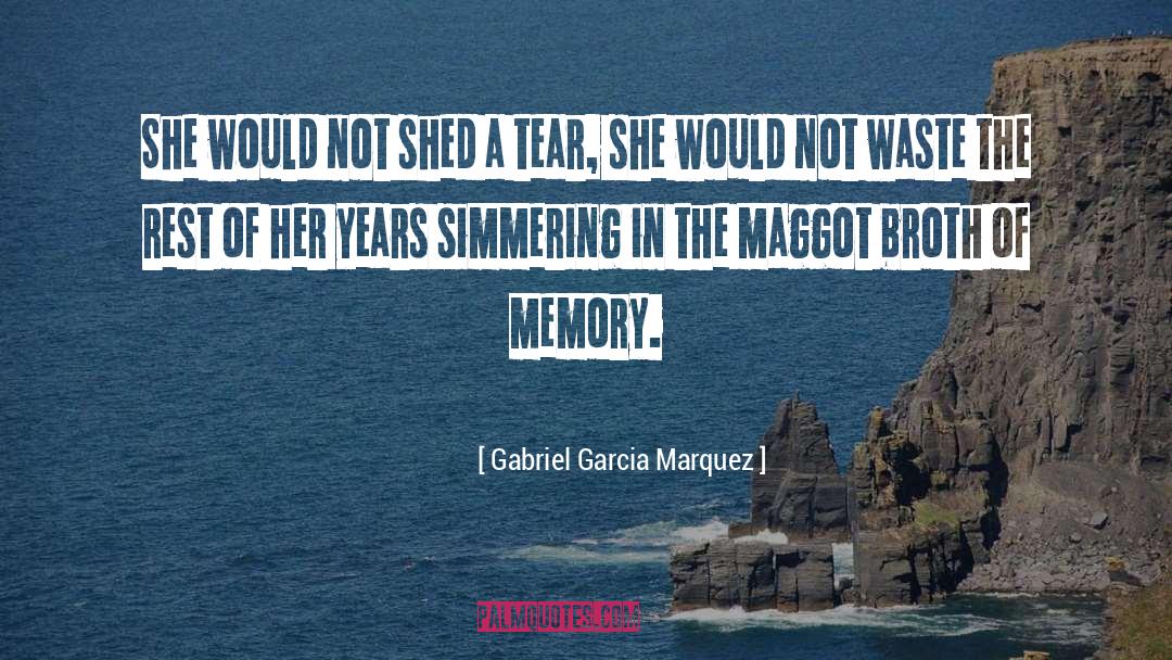 The Years Of Loving You quotes by Gabriel Garcia Marquez