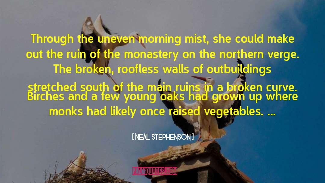 The Young Elites quotes by Neal Stephenson