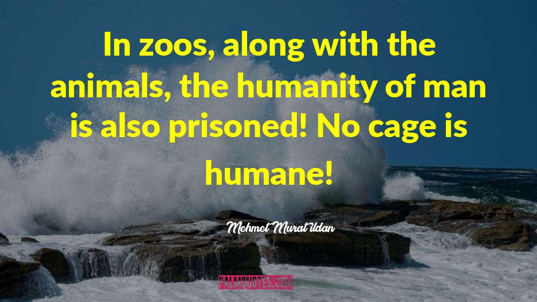 The Zoo Story quotes by Mehmet Murat Ildan
