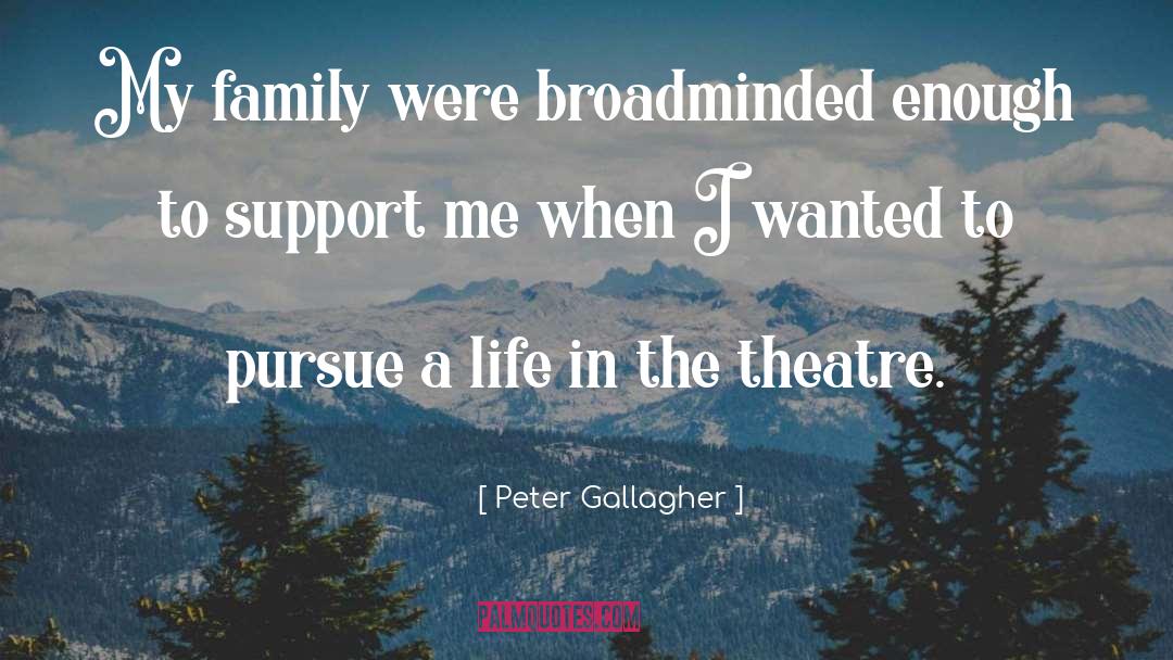 Theatre Life quotes by Peter Gallagher