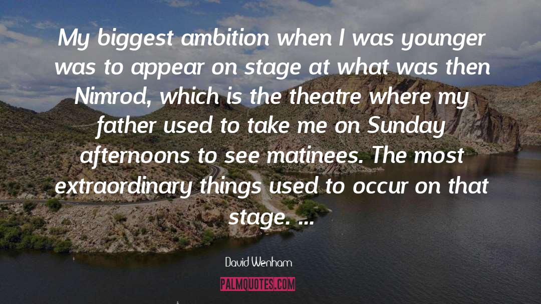 Theatre quotes by David Wenham