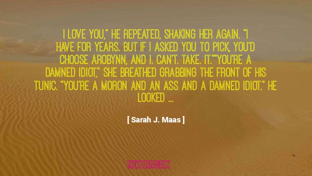 Theelite Idiot Love quotes by Sarah J. Maas