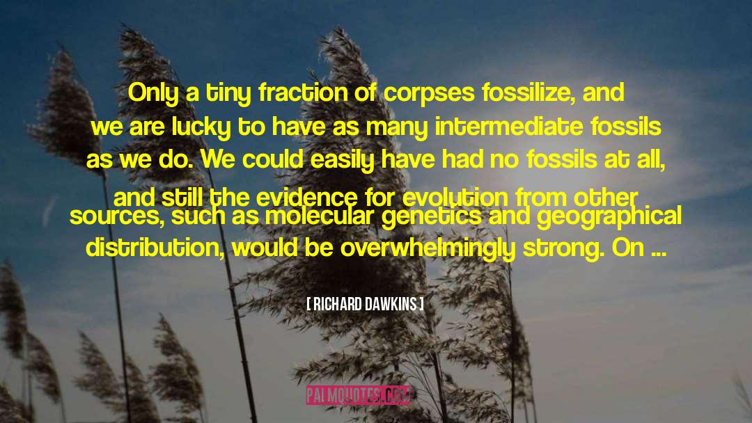 Theistic Evolution quotes by Richard Dawkins