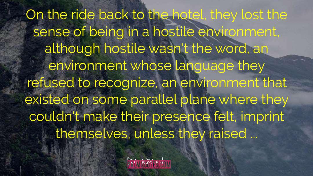 Theme Of A Hostile Environment quotes by Roberto Bolano