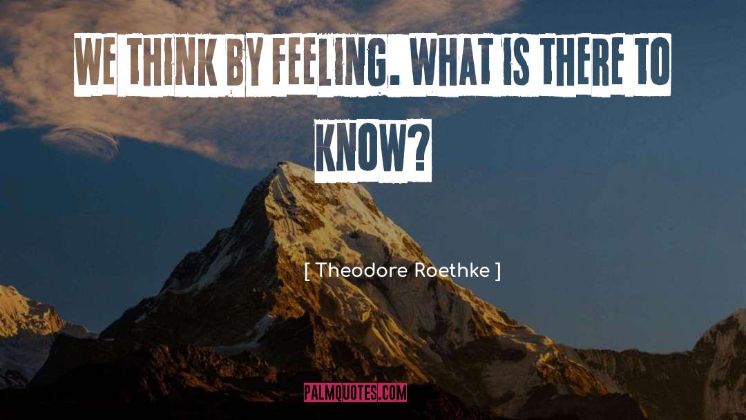 Theodore Nott quotes by Theodore Roethke