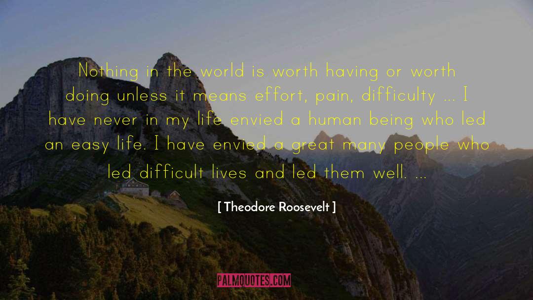 Theodore Roosevelt Effort quotes by Theodore Roosevelt