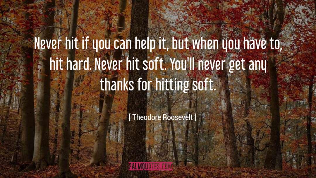 Theodore Roosevelt quotes by Theodore Roosevelt