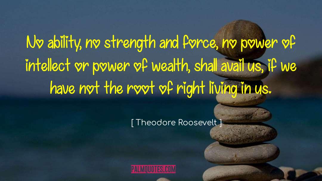 Theodore Roosevelt quotes by Theodore Roosevelt