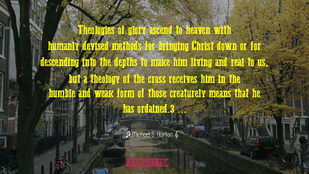 Theology Of The Cross quotes by Michael S. Horton