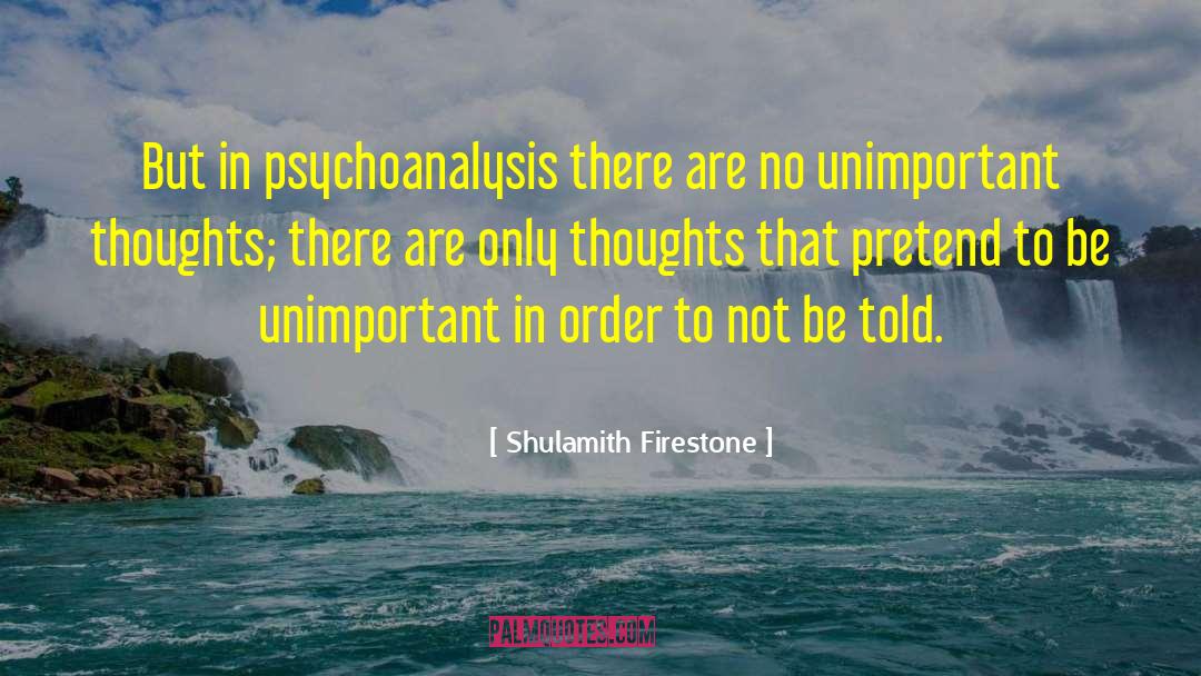 Theoretical Physics quotes by Shulamith Firestone