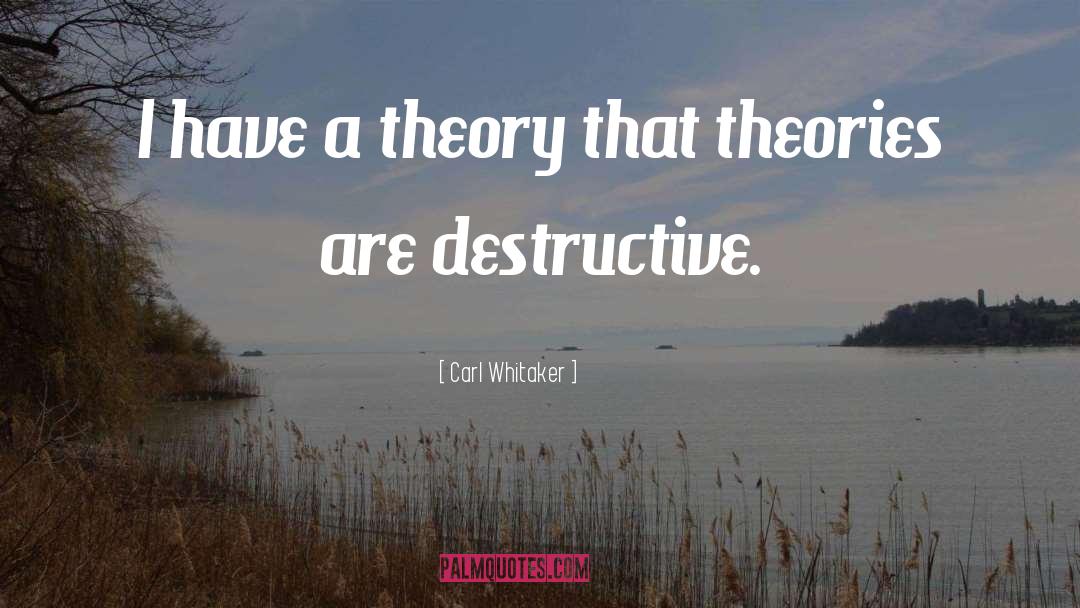 Theories quotes by Carl Whitaker