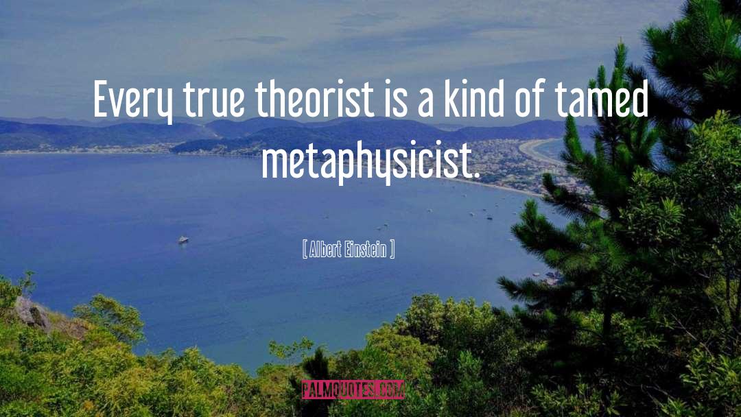 Theorist quotes by Albert Einstein