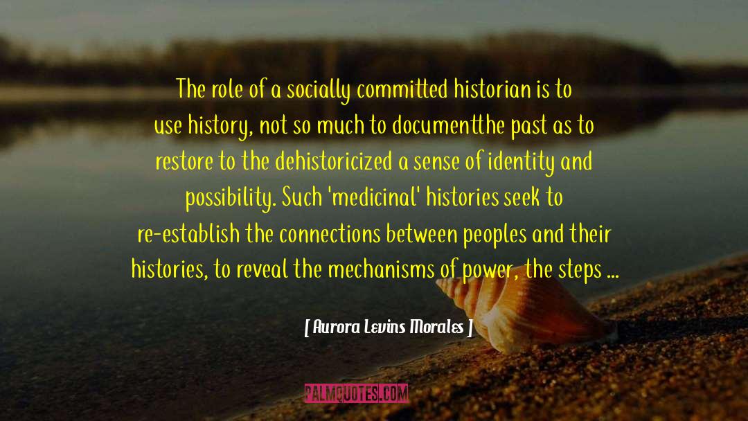 Theorizing Histories quotes by Aurora Levins Morales